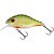 20076822-
			Electric Pike