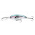 Gizzard Shad