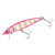 PINK ZEBRA