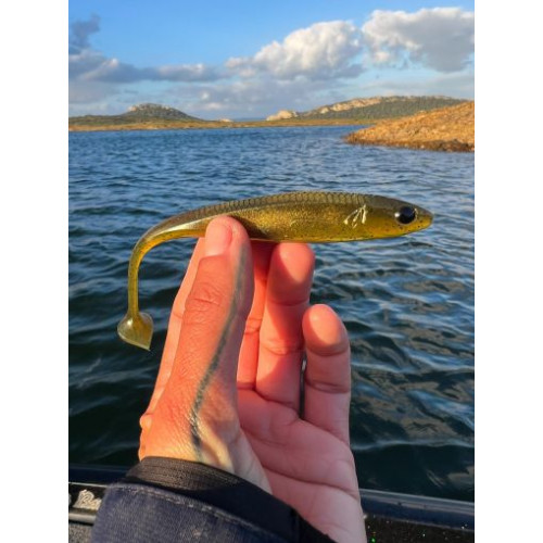 Силикони Illex MAGIC SLIM SHAD - 8см_Illex