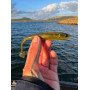 Силикони Illex MAGIC SLIM SHAD - 8см_Illex
