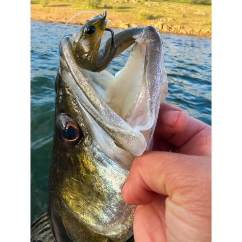 Силикони Illex MAGIC SLIM SHAD - 8см_Illex