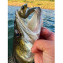 Силикони Illex MAGIC SLIM SHAD - 8см_Illex