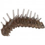 Силиконови ларви Illex MAGIC LARVA - 3.5см_Illex