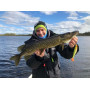 Силикони Illex DEXTER SHAD - 10.5см_Illex
