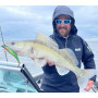 Силикони Illex DEXTER SHAD - 10.5см_Illex