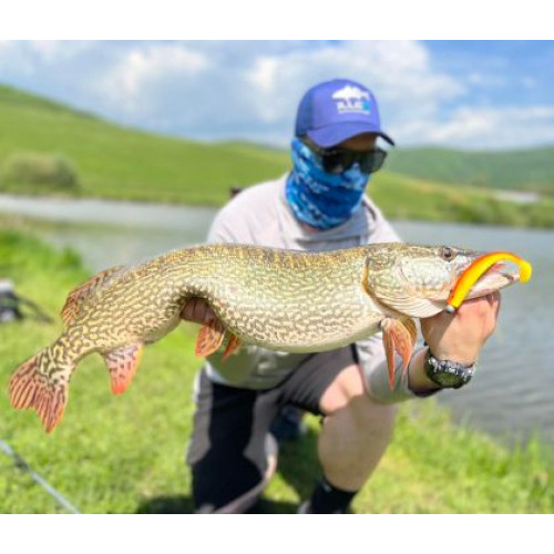 Силикони Illex DEXTER SHAD - 10.5см_Illex