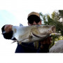 Воблери Illex RISER BAIT 80F_Illex