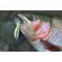 Воблери Daiwa SILVER CREEK MINNOW 50S_Daiwa
