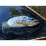 Воблери Daiwa SILVER CREEK MINNOW 50S_Daiwa