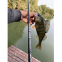 Спининг Fil Fishing NEXUS SPIN 2.40м/ 8-30гр_Fil Fishing