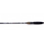 Спининг Fil Fishing DIAMOND SPIN 2.90м/ 50-100гр_Fil Fishing