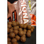 Протеинови топчета Starbaits SIGNAL_Star baits