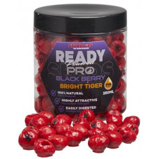 Тигров фъстък Starbaits Bright Tiger BLACKBERRY