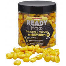 Царевица Starbaits Bright Corn GINGER SQUID