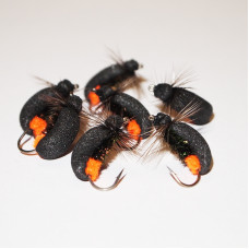 Orange Butt Foam Beetle