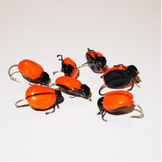 Orange Foam Beetle
