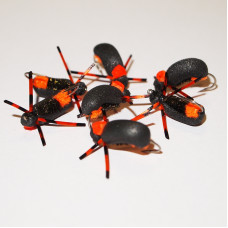 Orange Legs Foam Beetle