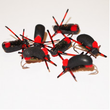 Red Legs Foam Beetle