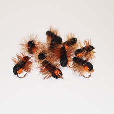 Black Orange Caterpillar