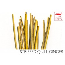 Polishquills Stripped Quill Ginger