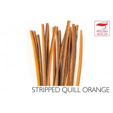 Polishquills Stripped Quill Orange