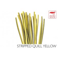 Polishquills Stripped Quill Yellow