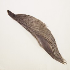 Whiting Introductory 1 x 1/2  Cape Grey Dun