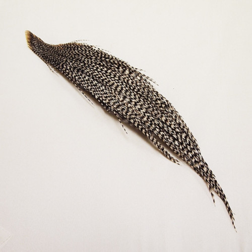 Whiting Introductory 1 x 1/2 Cape Grizzly_Whiting