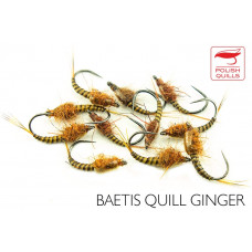 Baetis Quills Ginger