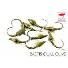 Baetis Quills Olive