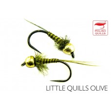 Little Quills Olive