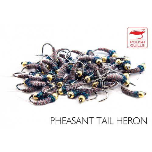 Pheasant Tail Heron_Pheasant
