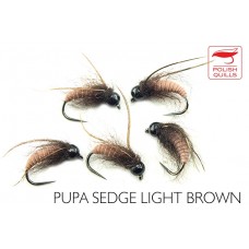 Sedge Pupae Light Brown
