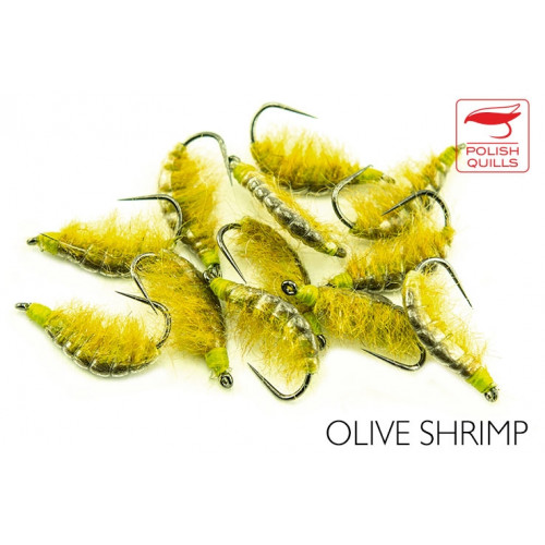 Shrimp Olive_Shrimp