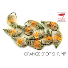 Shrimp Orange Spot