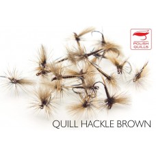Quill Hackle Brown
