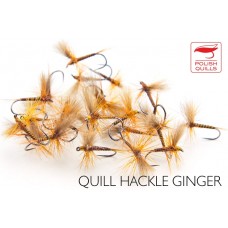 Quill Hackle Ginger