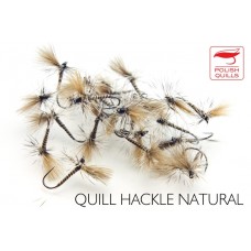 Quill Hackle Natural