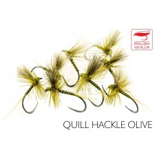 Quill Hackle Olive