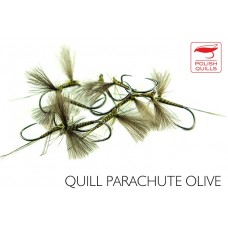 Quill Parashute Olive