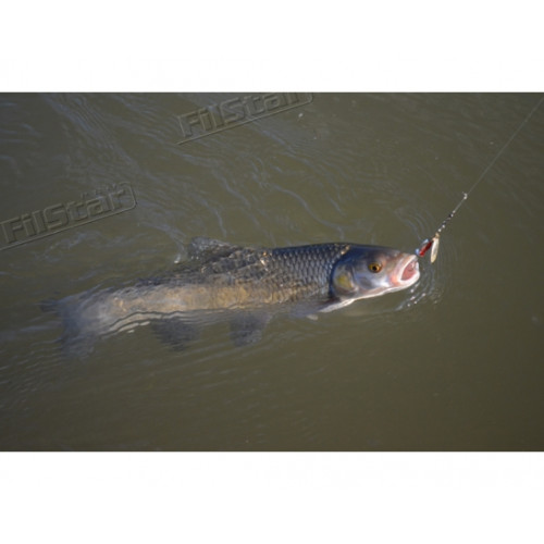 Блесна Aglia Long Cast_Mepps