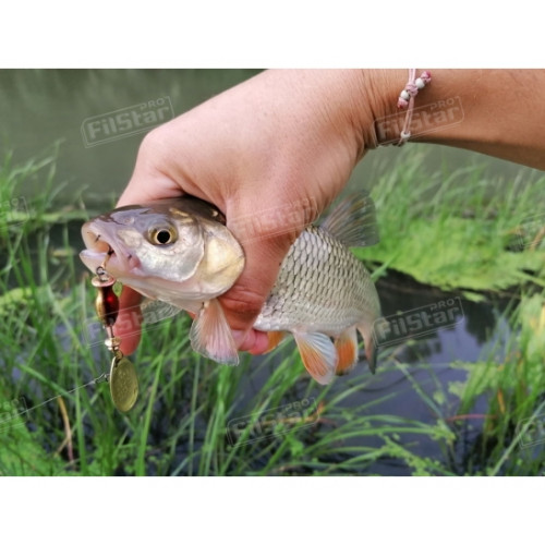 Блесна Aglia Long Cast_Mepps