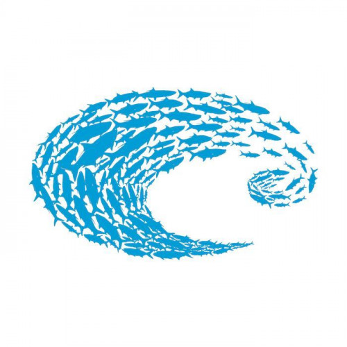 Стикер Decal Costa Blue Logo Schoolin_Costa