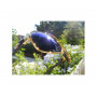 Очила Costa Cocos - Palladium - Blue Mirror 580P_Costa