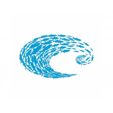 Стикер Decal Costa Blue Logo Schoolin