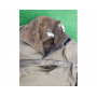 Полар Shimano Tactical Pulover Fleece_SHIMANO