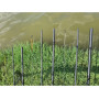 Въдица Filstar Signum Feeder_FilStar