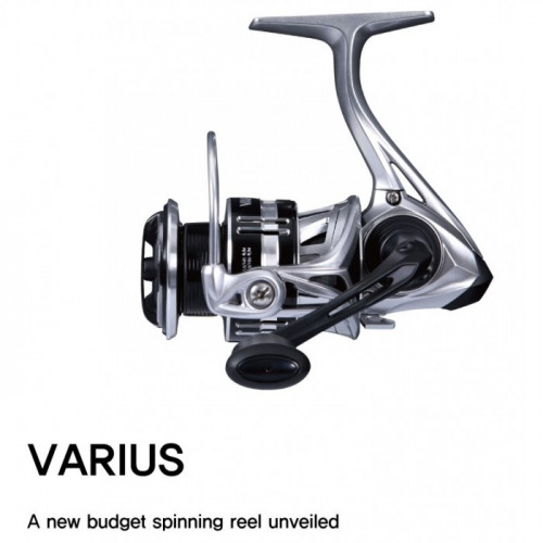 Varius 1000M N.S Black Hole_Tica