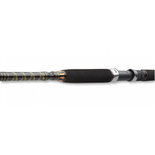 Въдица за морски риболов Daiwa BG OFFSHORE 20 /40-125gr_Daiwa